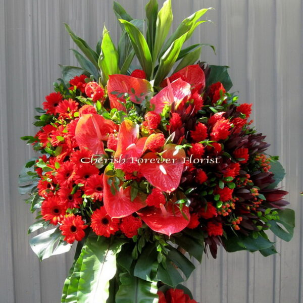 Item No. FB7003