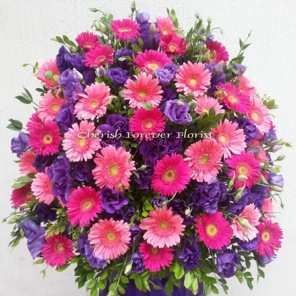 Item No. FB7033