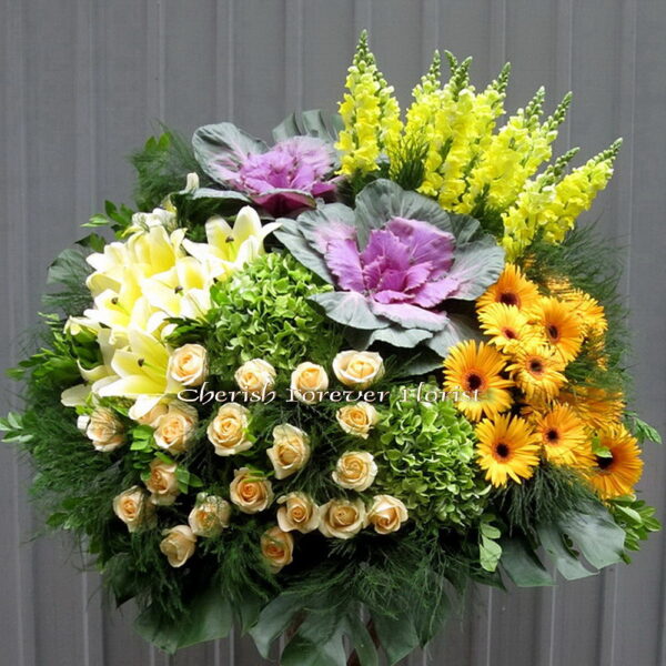 Item No. FB7037