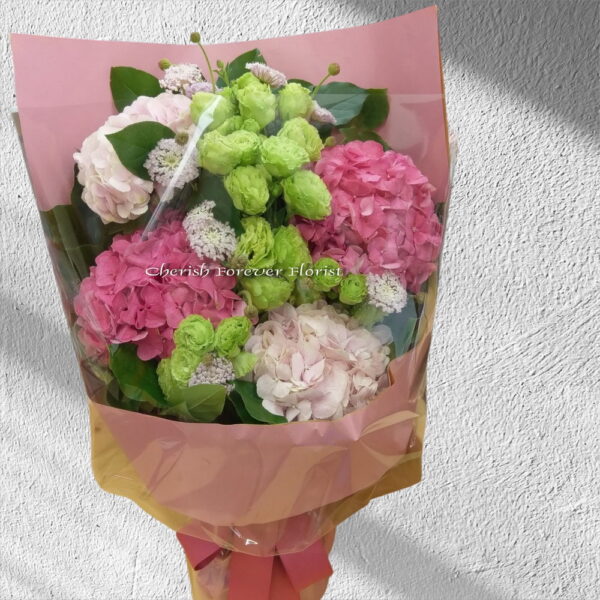 Item No. BQ6009